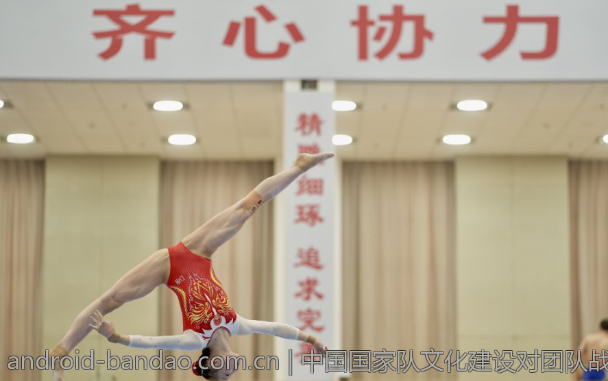 中国国家队文化建设对团队战斗力的影响