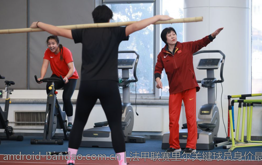 法甲联赛里尔关键球员身价最新更新
